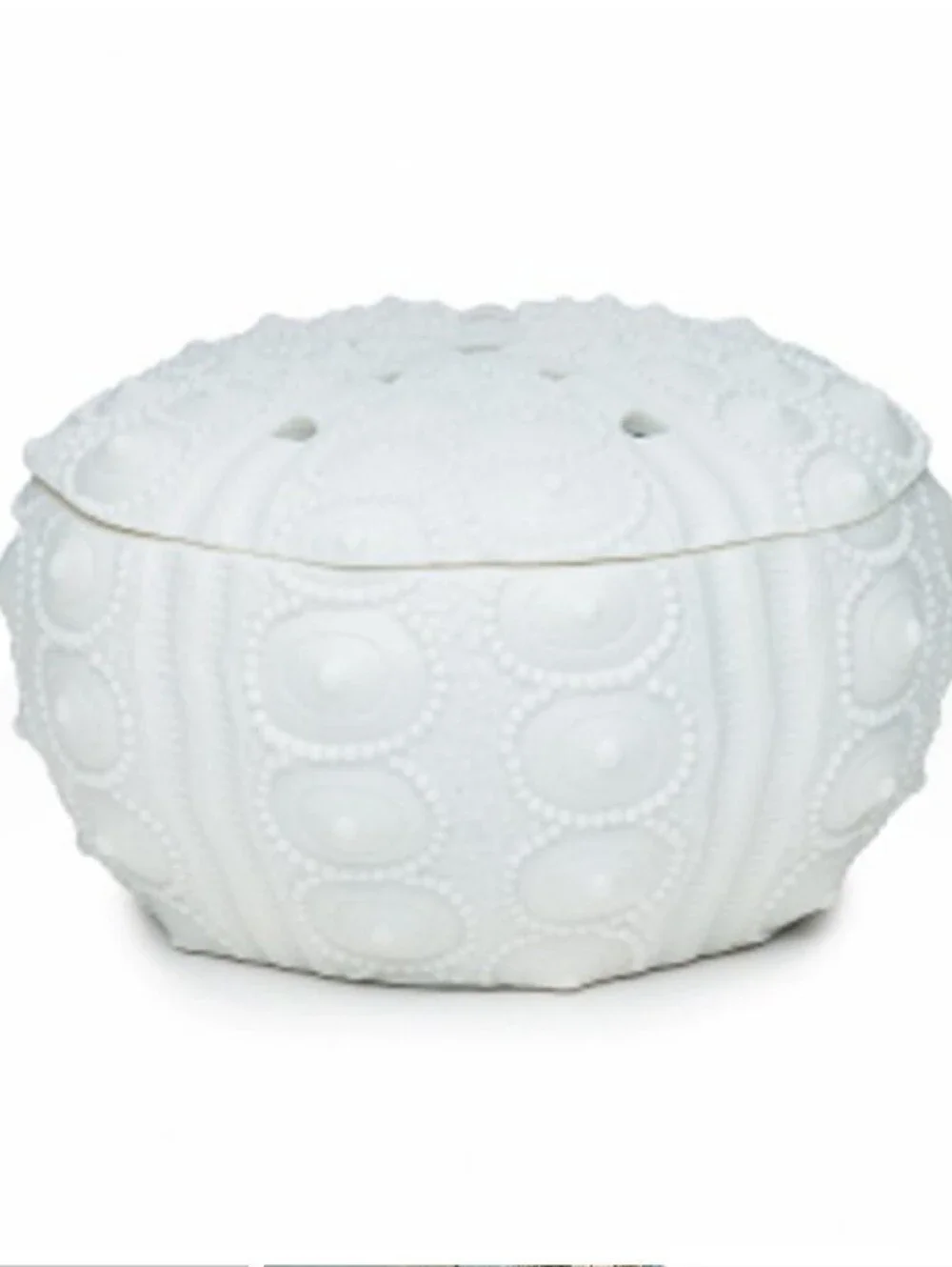 NEW Scentsy Sea Urchin Element Wax Warmer Ceramic Coastal Beach Nautical Ocean